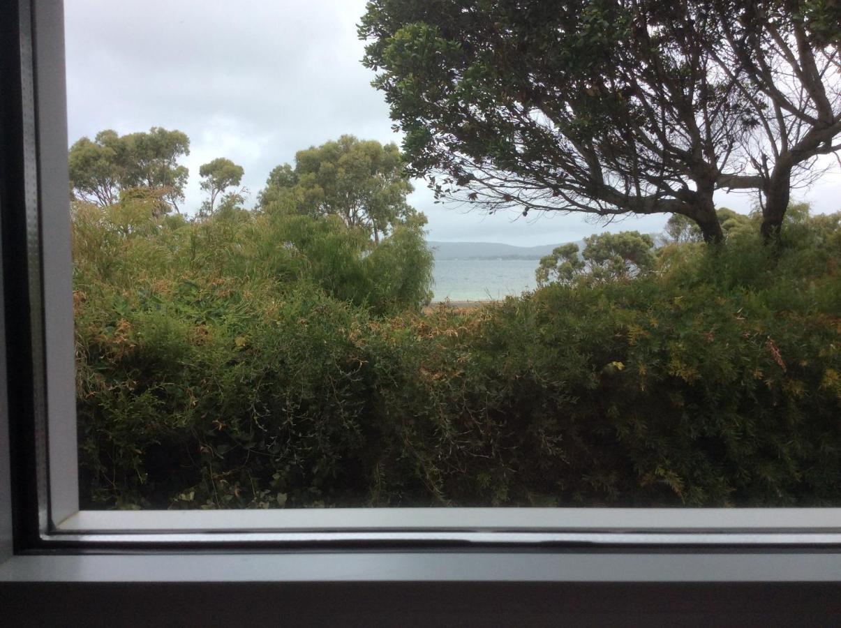 Hanover Bay Apartments Όλμπανι Εξωτερικό φωτογραφία